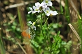 04 05 16_5552_edited-1